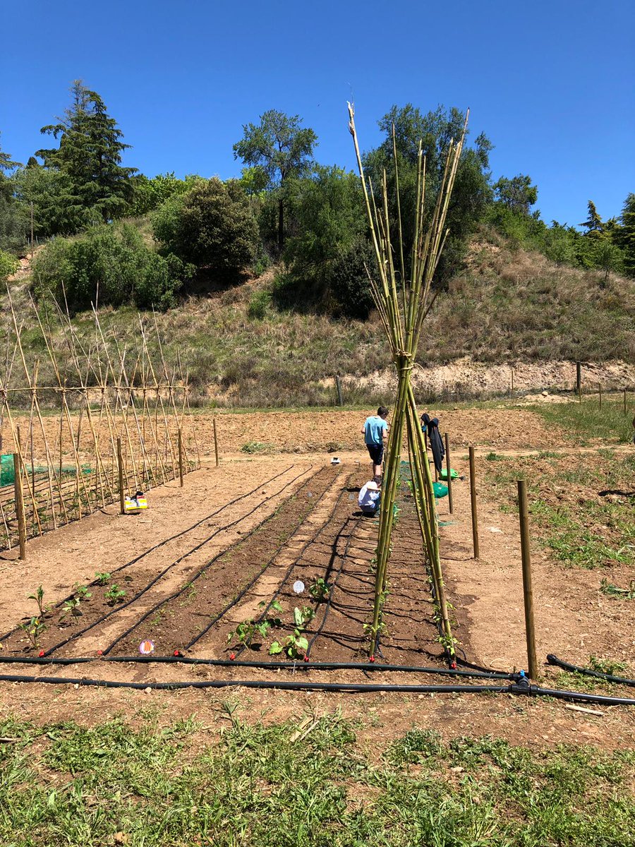 Els horts de Puigvert tweet media