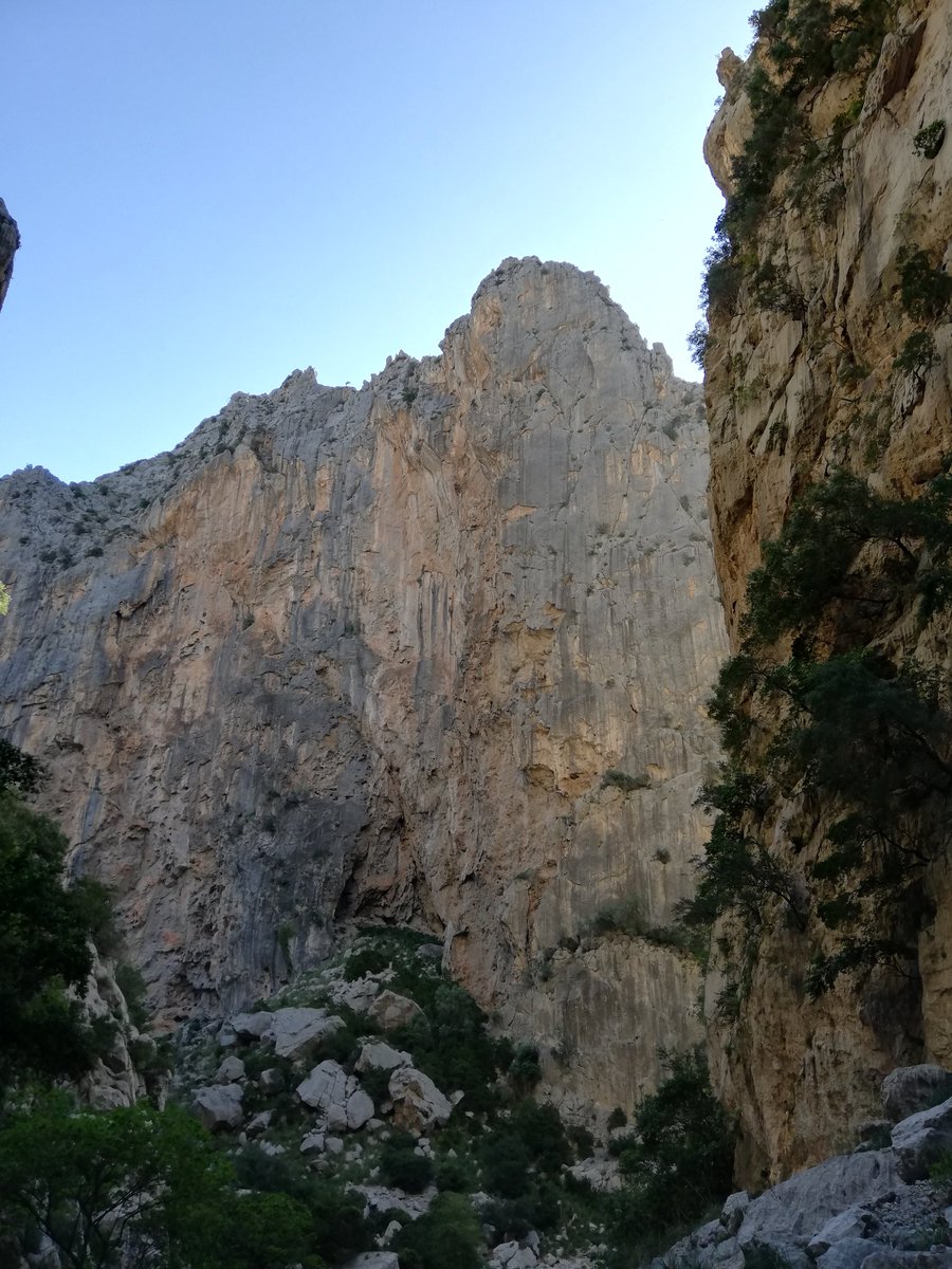 Toni Vallès tweet media