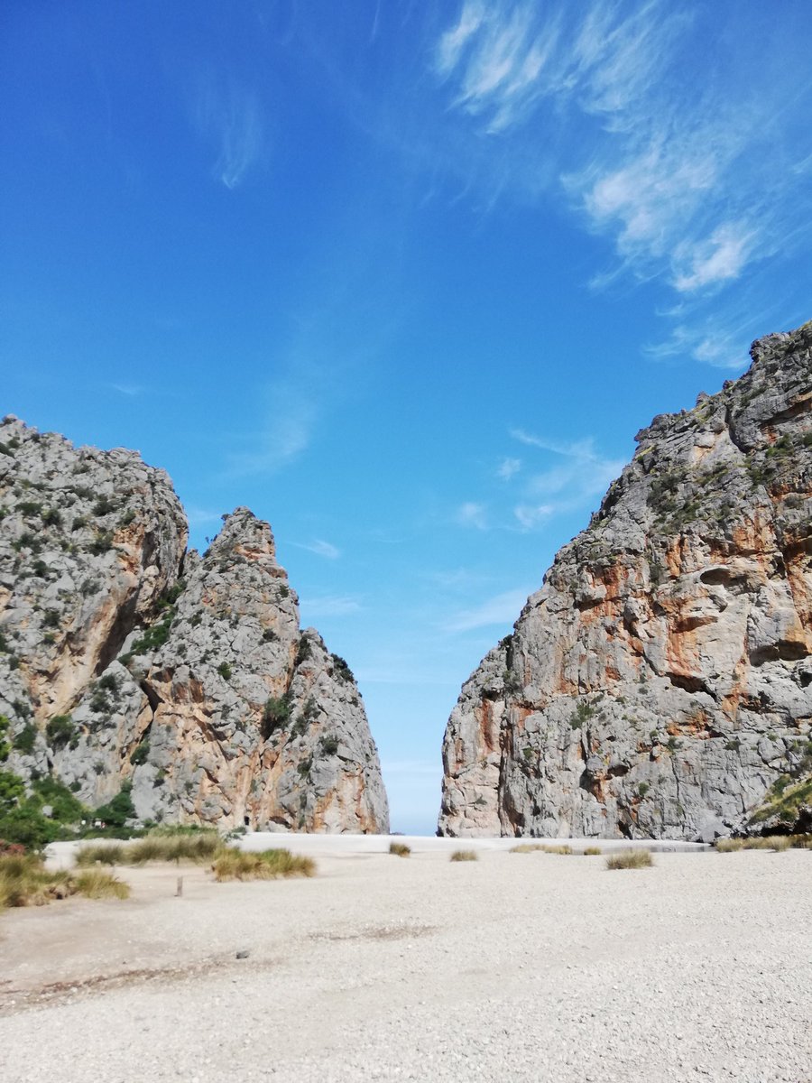 Toni Vallès tweet media