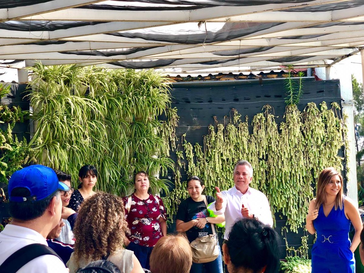 ManosAlFuturo's tweet photo. En el Día Mundial del Medio Ambiente, firmamos un Convenio de Colaboración con la Alcaldía de Azcapotzalco para iniciar nuestro programa Es Tiempo Verde, impartiendo el Curso Taller de Huertos Familiares y Comunitarios. #CDMX 
#DiaMundialDelMedioAmbiente https://t.co/MOtsrttAzO