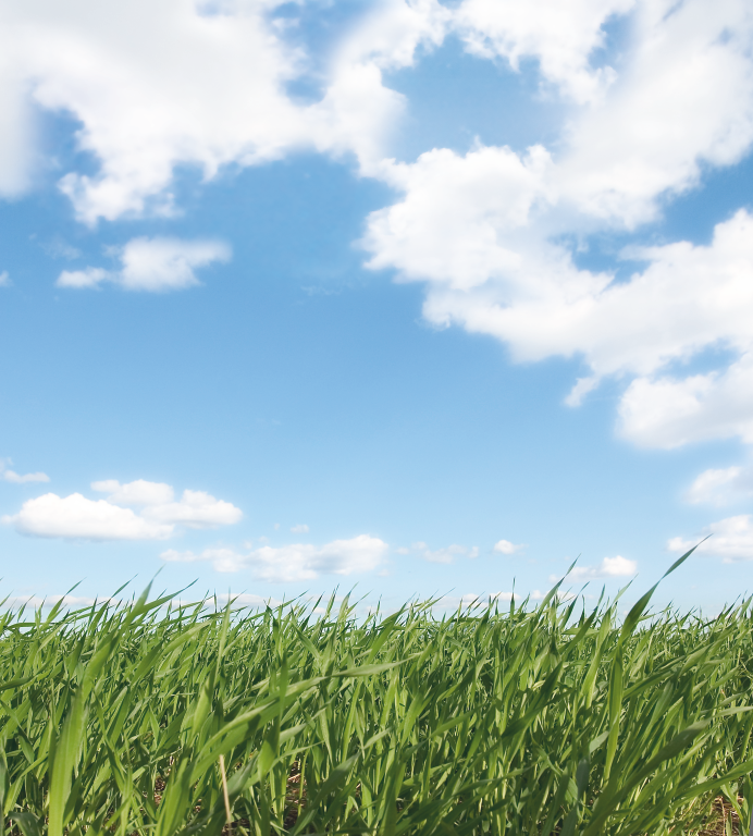 Did you know the transport sector accounts for nearly 27% of UK greenhouse gas emissions? Whether it’s supplying #hydrogen #LNG or #BioLNG BOC is committed to helping the #transport industry reduce its #carbonfootprint and improve #airquality #WorldEnvironmentDay