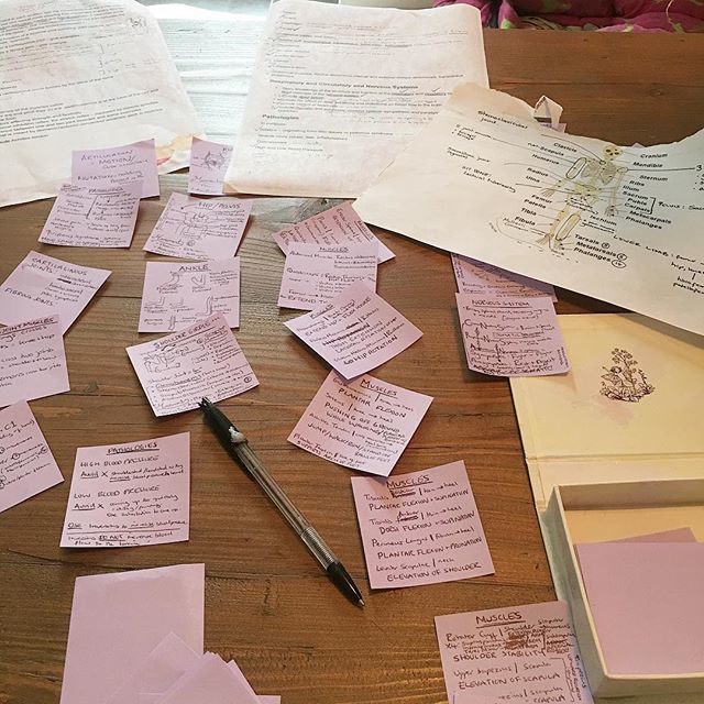 EastPromise's tweet image. 🗒They say ‘Nothing Worth Doing Is Easy’ 📃 This is what my day looked like today - Anatomy galore. 🤯 Looking forward to this all sinking in and being able to translate the knowledge into amazing yoga classes with a super understanding of how our amazi… bit.ly/2ESnanc