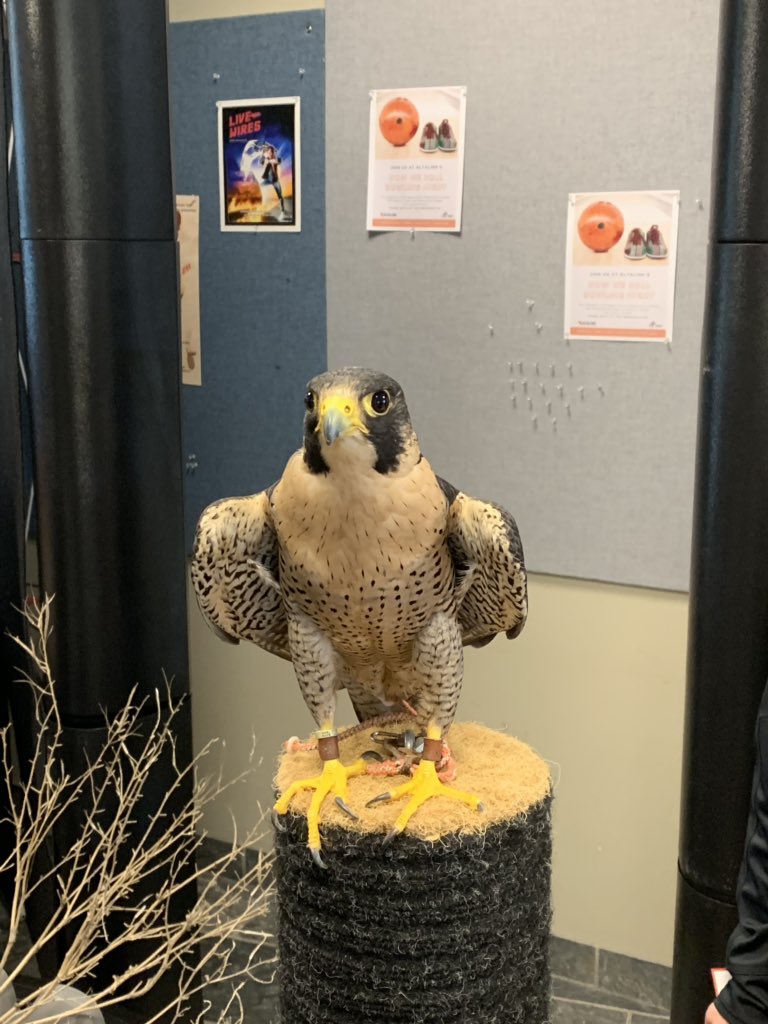 AltaLink tweet media