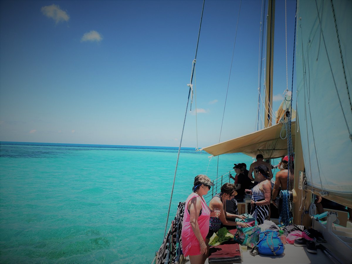 dangercharters tweet media