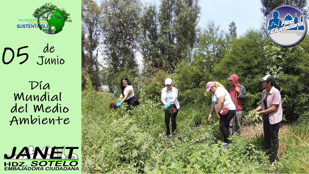 Janet_HdzSotelo's tweet photo. Para conmemorar el #DiaMundialDelMedioAmbiente será esfuerzo de todos realizar acciones ♻ Reciclar Re-usar Reducir, para combatir el Cambio Climático, cuidar Árboles 🌳, Plantas 🌱Agua 💦 y así mejorar nuestra Calidad de Aire.
Necesitamos Acciones constantes 🚴‍♂️🚴🏼‍♀️🌎🌏🌍 https://t.co/JhsiHD6wvA