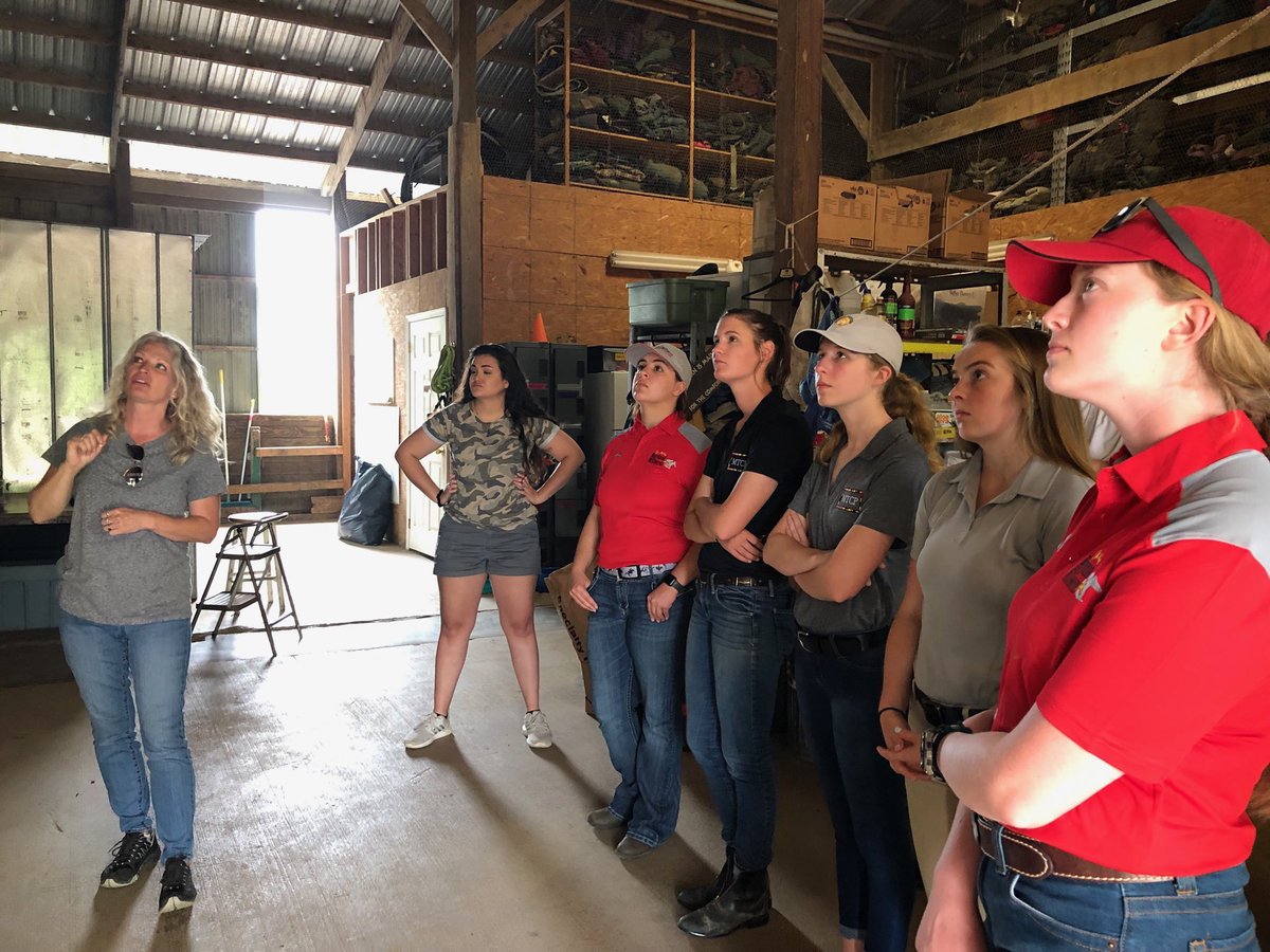 Afternoon <a href="/DEFHR/">DEFHR</a> learning about horse rescue and rehabilitation. #MTCP