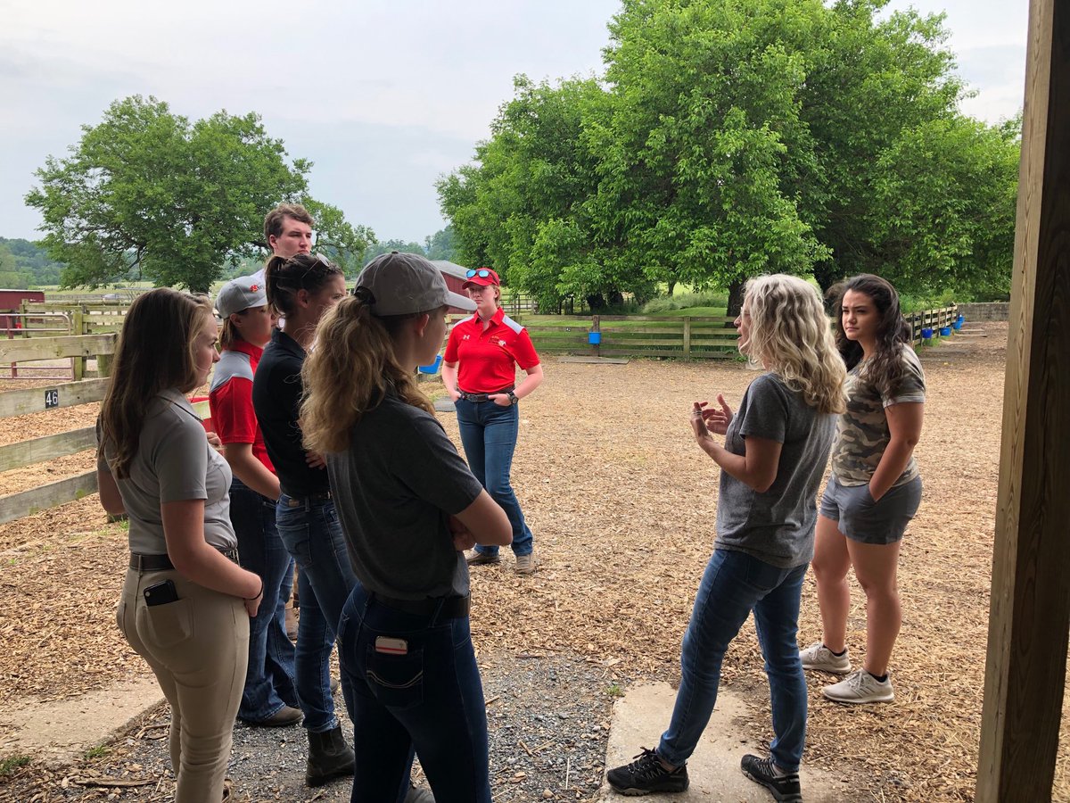 MarylandTB's tweet photo. Afternoon @DEFHR learning about horse rescue and rehabilitation. #MTCP https://t.co/4NeFulAaID