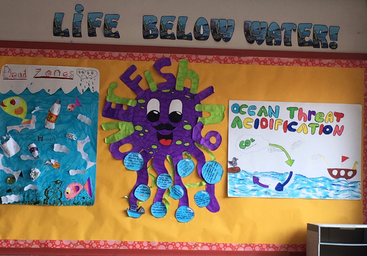 Fantastic work from S1 from #SustainabilityWeek the class researched 4 key ocean threats, acidification, waste in the ocean, overfishing and dead zones! These are just a few examples of the great info posters which were produced! #Goal14 #GreatWork #SDGs