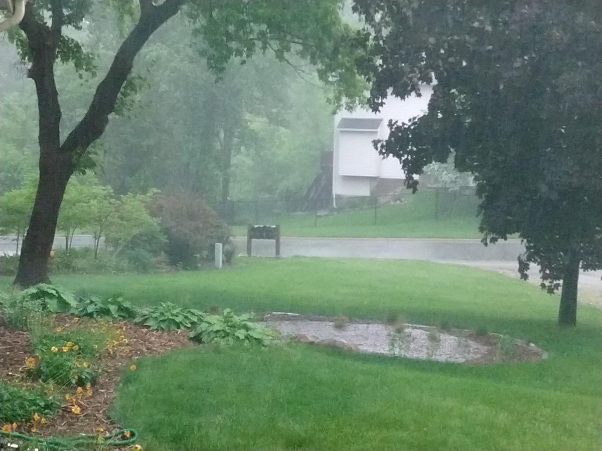 dakota_swcd's tweet photo. Meghan installed a raingarden in her yard last year to capture runoff from her downspouts. In the heavy rain yesterday, her raingarden was full by 5 pm - by 6:45 pm, all the water had drained! The runoff was naturally filtered, recharging groundwater! #LandscapingforCleanWater https://t.co/nol9xOnpfF