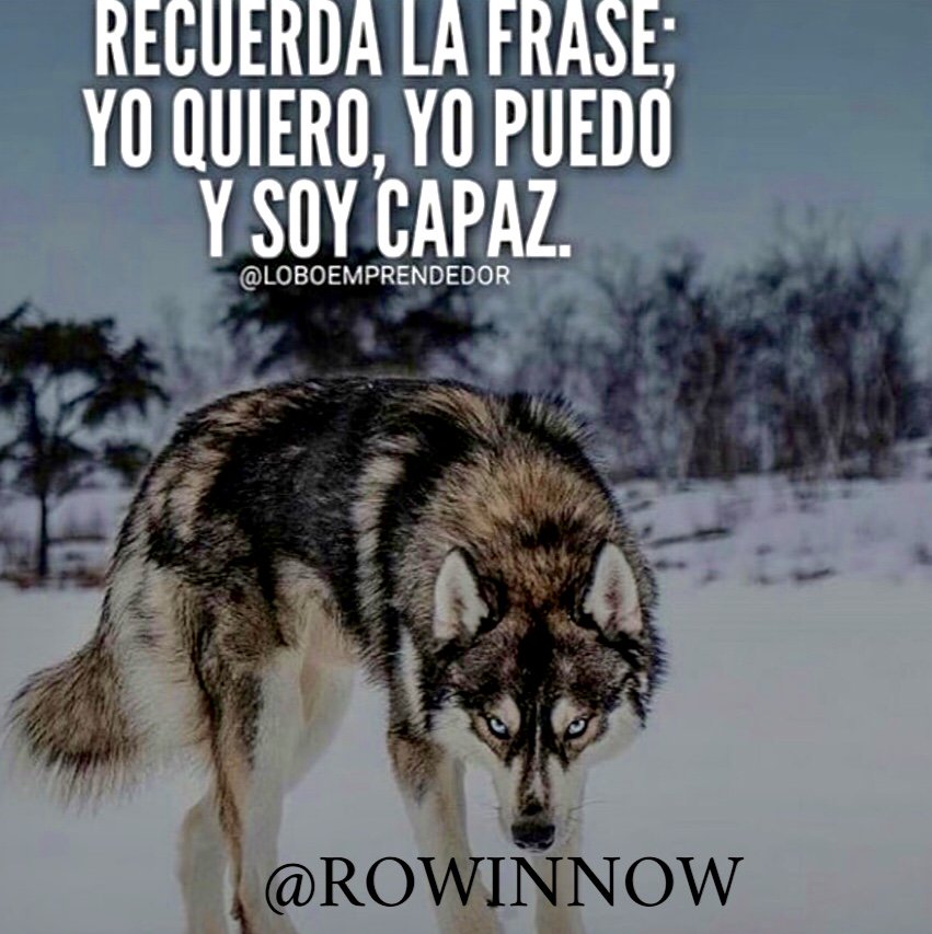 rowinnow's tweet image. Feliz miércoles gente de ROWIN NOW.
🐺🏆🥇✈️🛥🚁👔📊📈
#colombia #bogota #medellin  #new #business #newbusiness #wolf  #love #motivation #motivacion #rowinnow #lifestyle #life #2019 #live #panorama #photography #photographer #photoshoot #wednesday #miercoles #junio