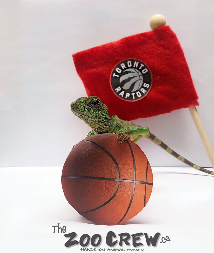 The Zoo Crew tweet media