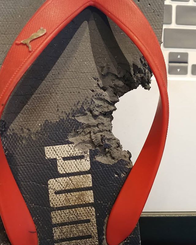 Gizmo_Lowrance's tweet image. Life with a puppy! How man big brother isn&apos;t going to be pleased... Mom has to vacuum, too... #brothersmayhem #cutestpuppyever #prapso #prapsopuppy #malshi #maltesemix #shihtzumix #puppylove #tinydogs #AdventureDogInTraining #assistanteditor #cutepuppies… bit.ly/2wDJIUs