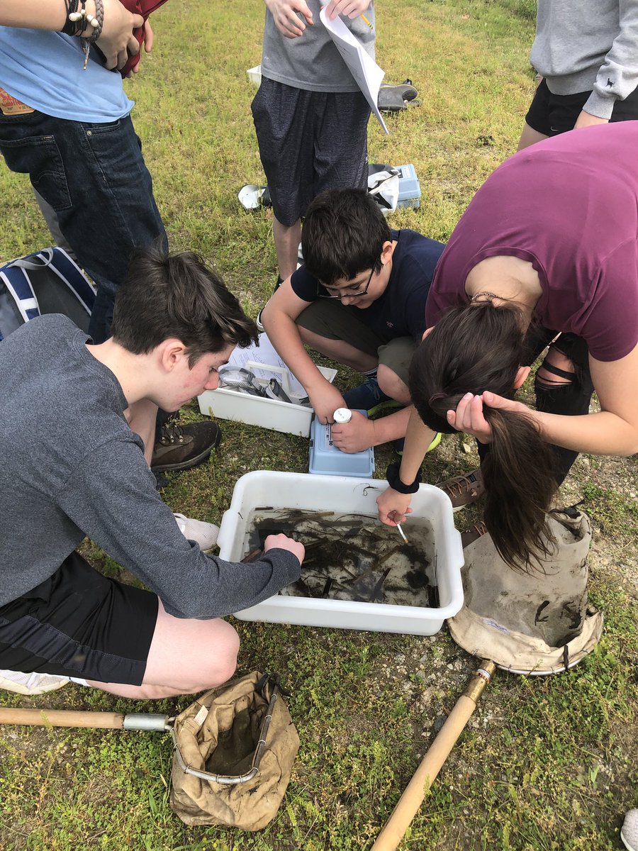 Ksimpson_LHS's tweet photo. Freshman science students conducting water quality tests and collecting macroinvertebrates at a local stream today!  #environmentalscience #outdoorclassroom https://t.co/iuPdFMRVbJ