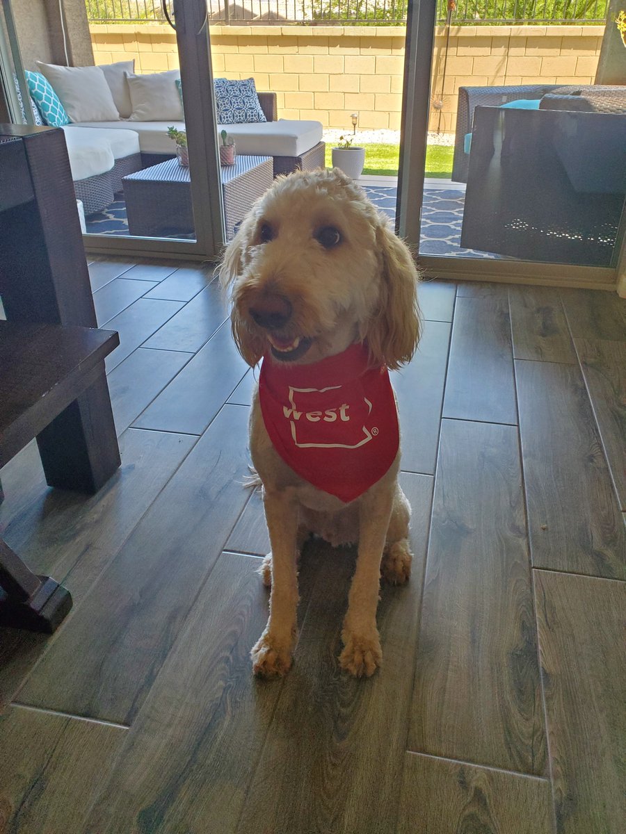 jake_sm's tweet photo. Even my dog loves @WestCorpDC @Notified #bear @redteamleader @s57benchodor #westdms https://t.co/UKamSX87m9