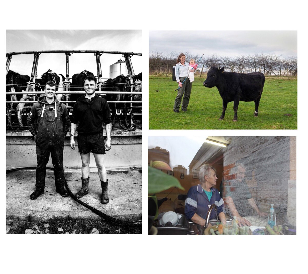 PhotoJ_USW's tweet photo. More info on our grad show @PenarthPavilion •FARMING•
@nwjb85 ‘Young Farmer’ Young people in agricultural industry across Wales. Jen Dobie ‘The Woman Farmer’ protecting rare breeds &amp; promoting local meat shopping. @PJSara_USW ‘Dairy Farming’ at Pen Y Bont farm. #photojstudent https://t.co/1AuPebFpXv