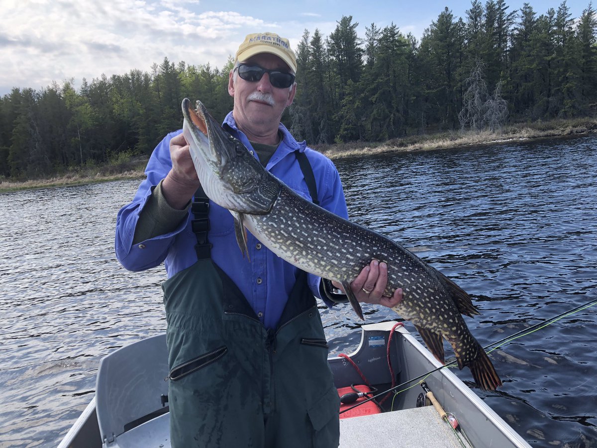 OutdoorBailey's tweet photo. Just back from a Manitoba fly-in with long time buddy Brian Hagglund @BuffaloBreaks Goal was Master Angler qualifying pike on the fly. Came up short. Best was a 39” hen on a mouse pattern. #flyfishing #northernpike https://t.co/ww1XQsdYOs