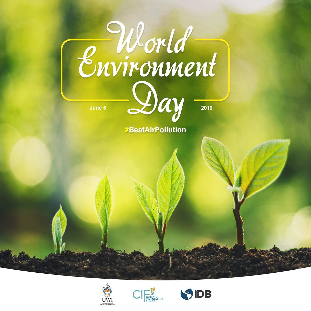 PPCR_Caribbean's tweet photo. Today is #WorldEnvironmentDay. The earth is ours to preserve and protect. This year's theme focuses on air pollution, which poses one of the most significant environmental risks. Over 90% of the global population lives in places with poor air quality. https://t.co/DuYbls9ZsV
