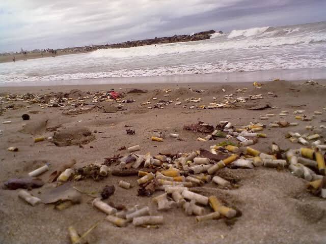 No seamos la especie que se destruyó a sí misma y a su medio ambiente por culpa del cigarro.

Una sola colilla puede contaminar 50 litros de agua.

El cigarro mata a quien lo fuma y a quien no.

Por nuestra salud y la de nuestro planeta #NoMásCigarros #DíaMundialDelMedioAmbiente