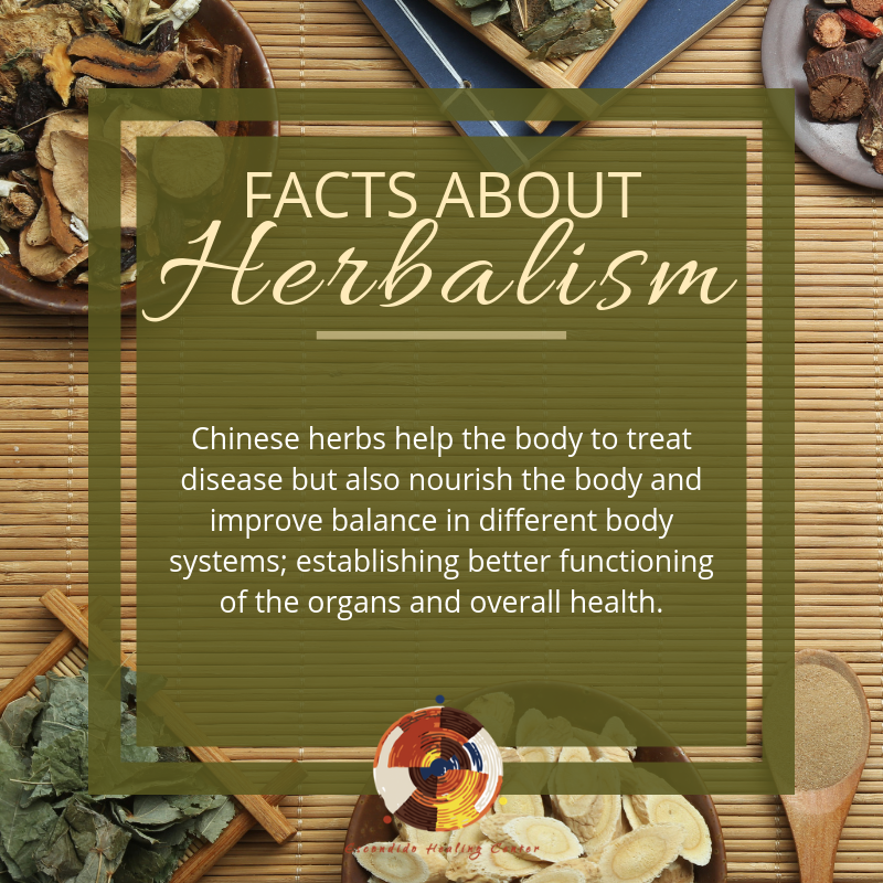 EscondidoAcu's tweet photo. Discover the power of chinese herbal medicine to improve your health. https://t.co/dHi5R34wOU https://t.co/3D27SgM441