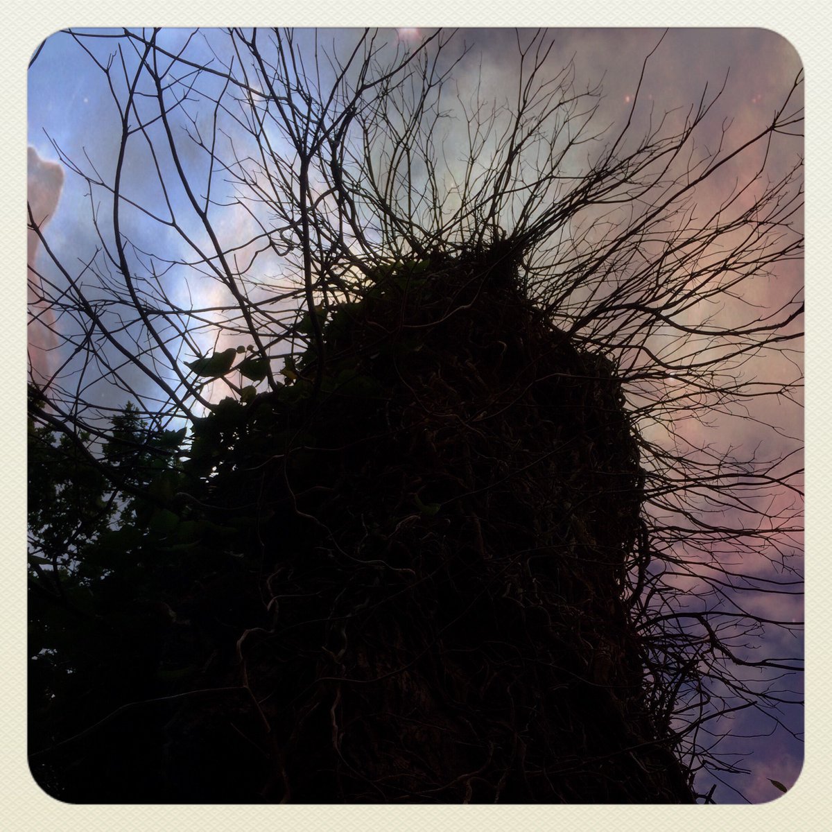 NorthSeaNav's tweet photo. Great Old Ones
https://t.co/H2Kt3jA0Im
#hplovecraft #lovecraft #lovecraftian #ancient #deity #cosmichorror #cthulhumythos #cthulhu #mythos #mass #tentacles #falling #stars #mythicalcreatures #dark #ontography #nature #tree #edgelands #psychogeography #hauntology #liminal https://t.co/mk87Fmmtl8