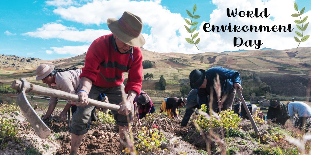 Cipotato's tweet photo. #WorldEnvironmentDay : CIP is dedicated to working with smallholders in "San Jose of Aymara", Huancavelica - Peru, to understand effects of #climatechange on #NativePotatoes and preserve it.
@minagriperu https://t.co/idA41oOuVJ
