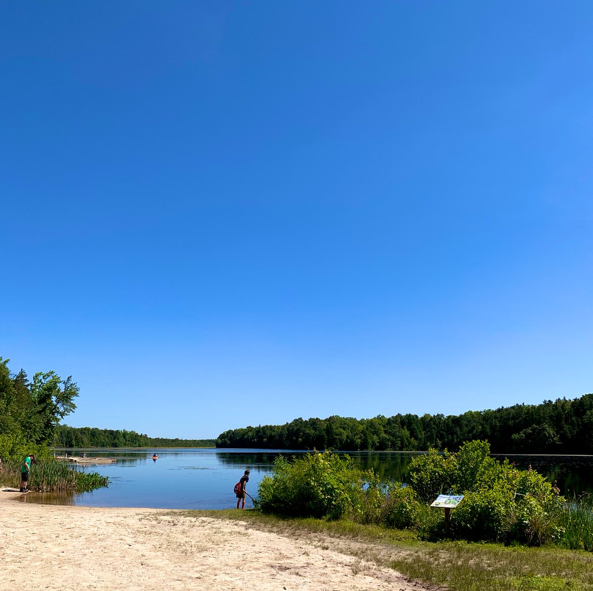 MrsAddeo's tweet image. Yesterday was a perfect day for the 7th grade field trip to Scotland Run Park☀️🛶 #LoganProud @LoganTownshipSD