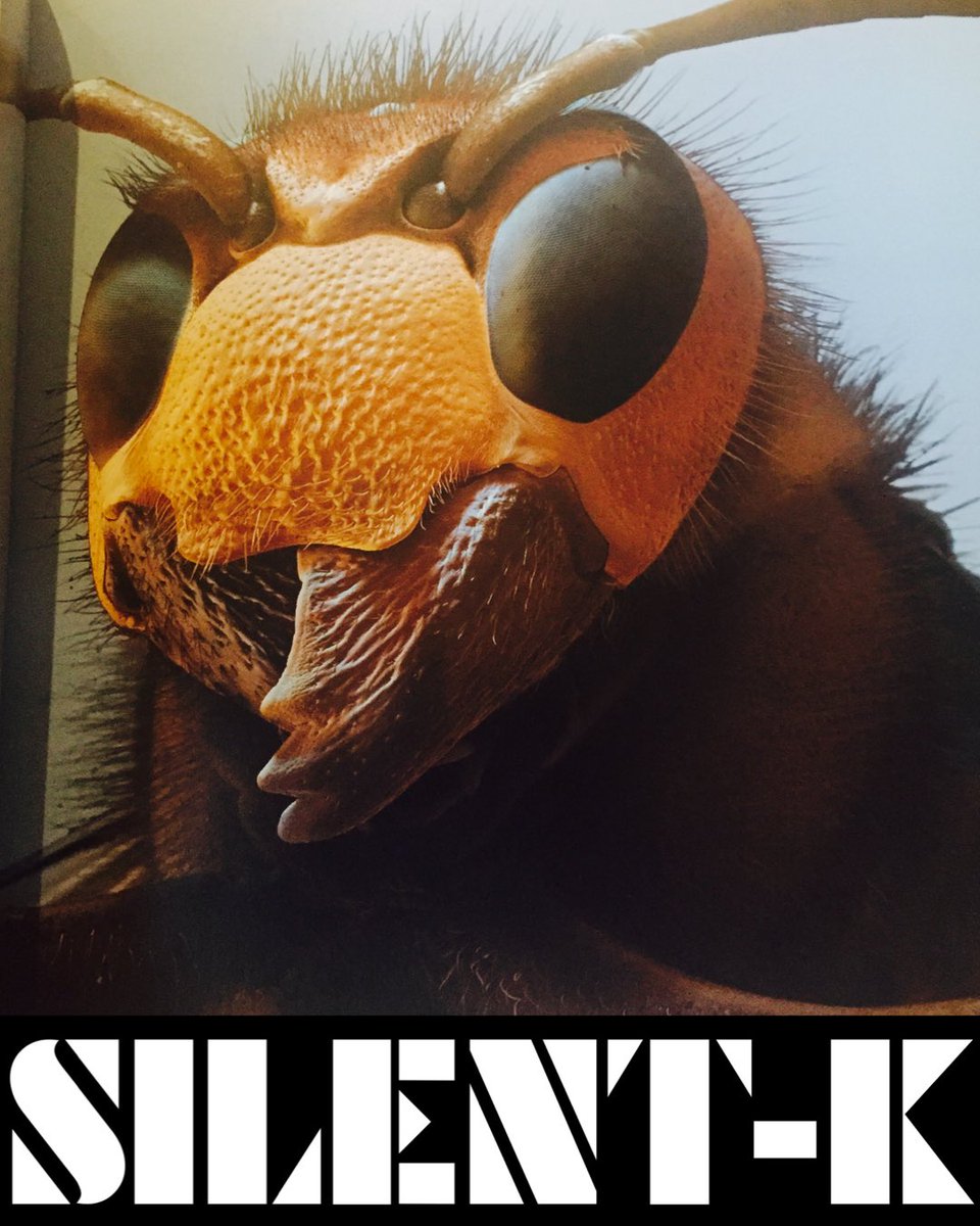 Silent__K__'s tweet photo. SAFARI PARK PUNK! ✊🏼 #STARTOFEVOLUTION #SILENTK https://t.co/vXdtKtU5AG