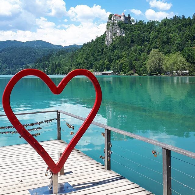 InfoStedentrips's tweet photo. I love Lake Bled, oh yes I do ❤
#lakebled #bled #bledcastle #blejskigrad #visitslovenia #feelslovenia #slovenia #ig_slovenia #travel #travelmoments #bigheart #lovemylife #sunshine #blueskies #deepbluesomething #dametraveler #shewhowanders #travelphotography #neverstopexplor… https://t.co/HMZFg3qVdN