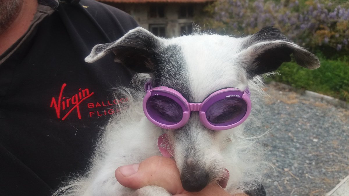 🌟ALLIE YARM 🌟 tweet media