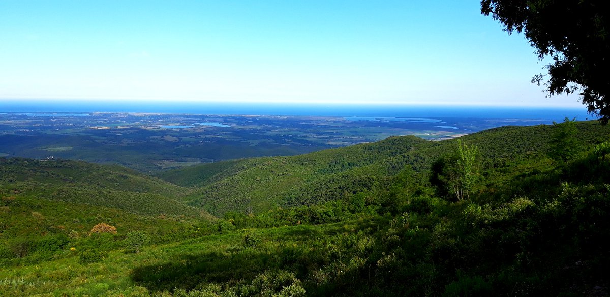 Tisserandetala3's tweet image. La Plaine Orientale vue des Hauts de #Casevecchie