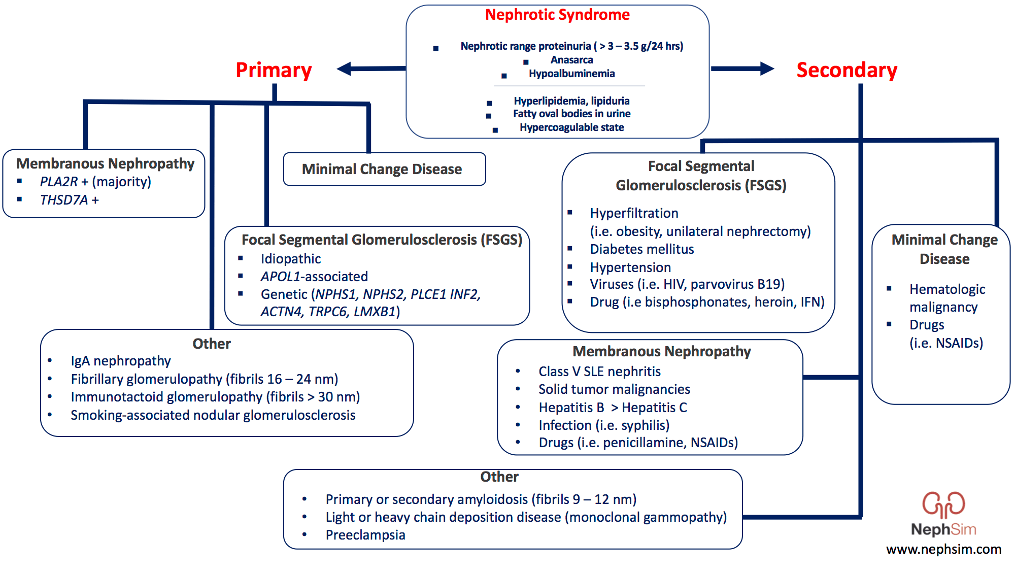 GrepMed on Twitter "Nephrotic Syndrome Differential Algorithm via