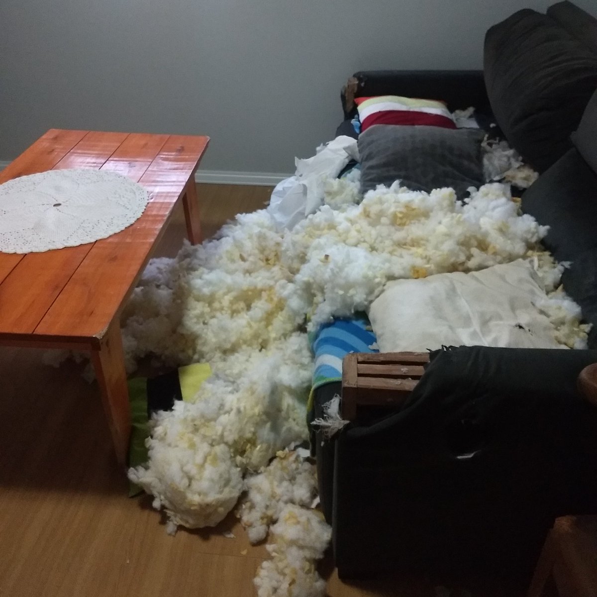 rafael_c_alves's tweet photo. Nosso querido e abenรงoado Sandijunior fez o favor de acabar de vez o serviรงo dele...
#RIPsofa https://t.co/p07MWjxAyc
