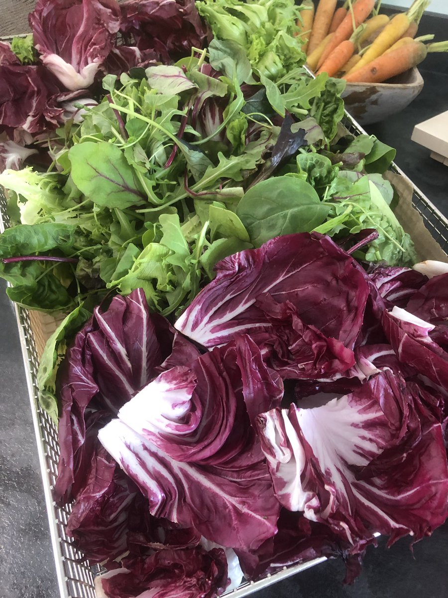 Johno gardiner tweet media