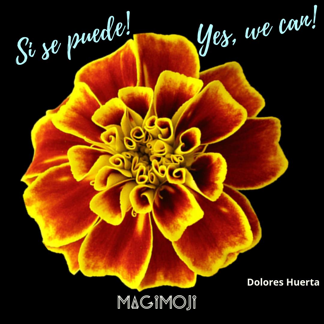 Si se puede! Yes we can! is being heard across the planet. #awaken #planetearth #riseup #newways inspired by Dolores Huerta this MagiMoji flower of expression and fierceness says so much.