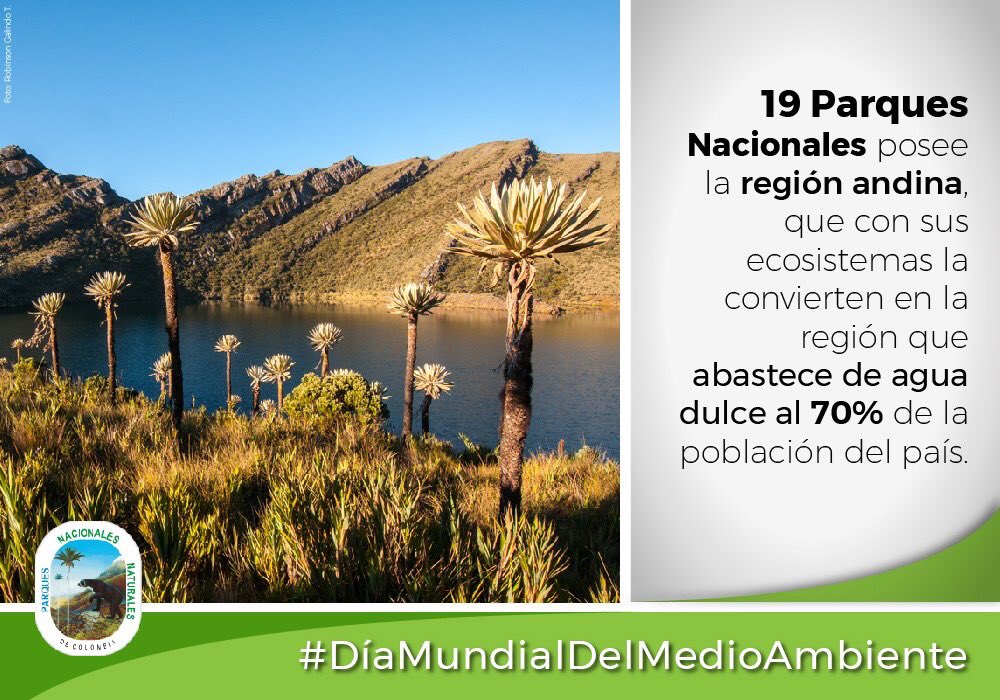 RdaTuristica's tweet photo. #DiaMundialDelMedioAmbienteRisaralda un destino lleno de vida. https://t.co/npnjGLnxwV