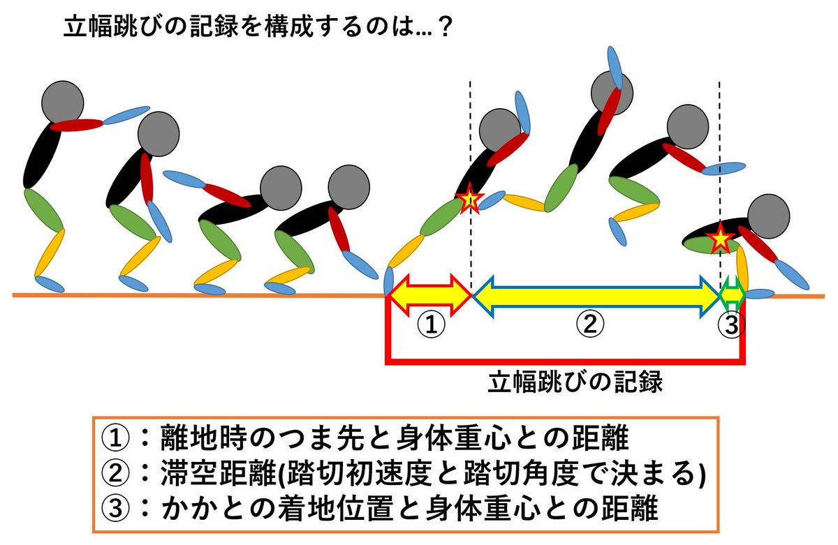 Sprint Conditioning No Twitter 立幅跳びのバイオメカニクス 立幅跳びのコツは 反動 と 腕の振り込み 腕の振り込みの 上手さ に関わるタイミングとは 垂直跳びと比べて膝での力発揮の貢献度が低くなると言われる立幅跳びですが 上手い 人は