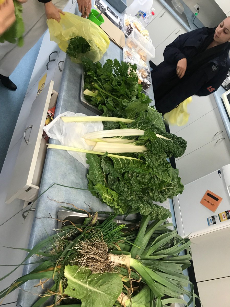 A good winter harvest <a href="/Delany_College/">Delany College</a> ; silver-beet, eggplants, celery, radish, lettuce, capsicum and leeks. All organically grown!.