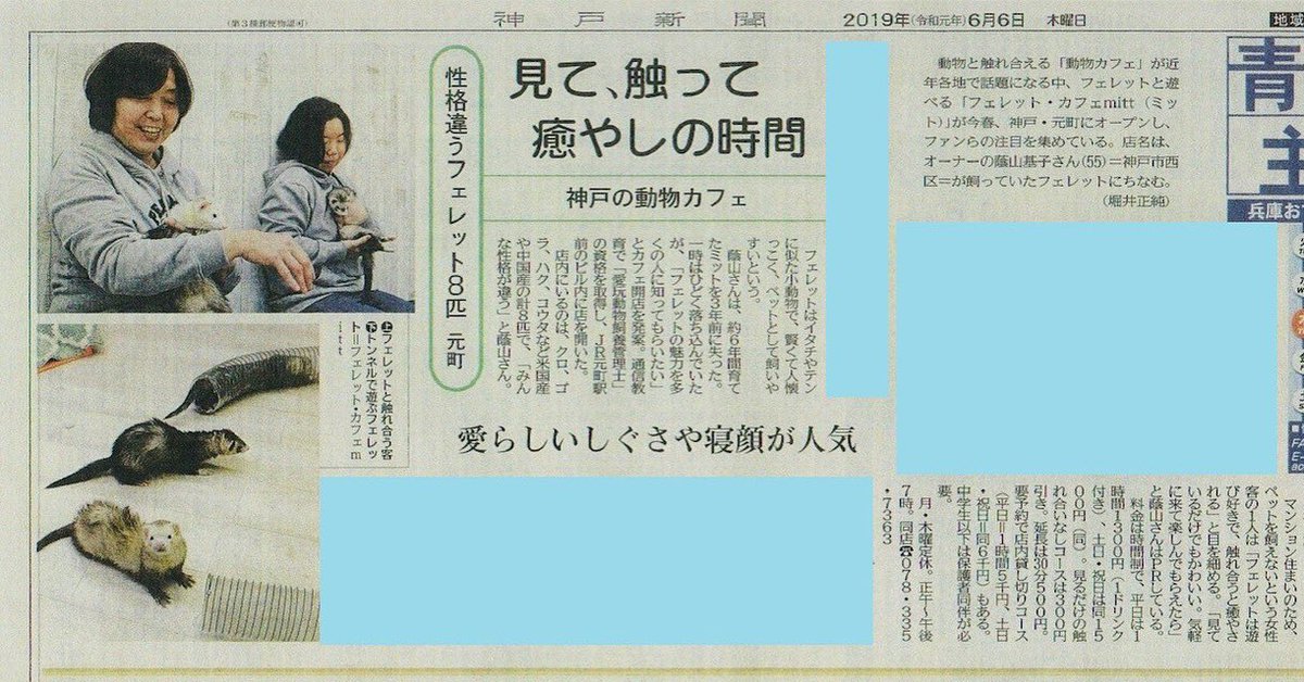 フェレットカフェ Mitt 神戸新聞に掲載されました ありがとうございます 明日は12 00より営業しています ミットカフェ Mittcafe フェレット Ferret Ferretcafe フェレットカフェ Cafe アニマルカフェ Animalcafe 動物カフェ 小動物 ペットカフェ