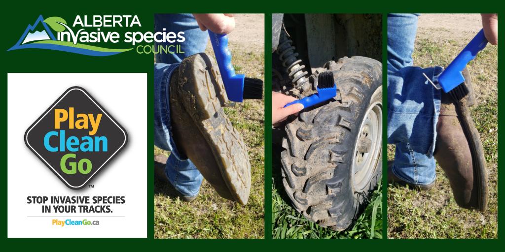 ABInvasives's tweet image. Who else loves a good #bootbrush for cleaning their gear?

One our awesome #AISC members shared how they are participating in #PlayCleanGoWeek and getting #mudandseeds out of those hard to reach places! 

Keep up the brilliant work and ALWAYS #playcleango to stop #invasivespecies