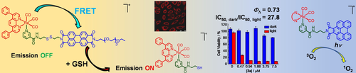 ChemEurJ's tweet photo. #Photophysics, intracellular sensing, and photocytotoxic activity of #luminescent #rhenium(I)-polypyridine complexes by Kenneth Lo @bhkenlo, Cong Yu, and co-workers https://t.co/AEBaOsN7td https://t.co/nxa94HHaop