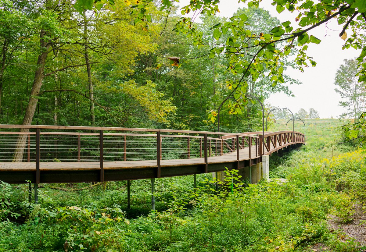 myRichmondHill's tweet photo. It's #WorldEnvironmentDay A great reminder for us to work together to help protect the environment and keep our earth beautiful #MeanderPark https://t.co/SYZB8jIzdL