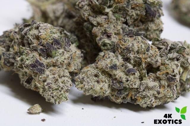 Animal Mints Weed Strain – GanjaSpliff Weed Store UK