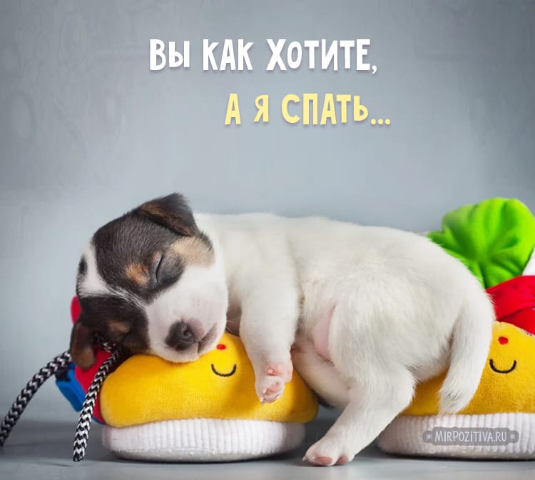 фото ушла спать тот