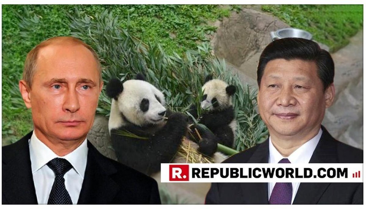 同志ハラショー En Twitter プーチンと習近平がデート 二人は会談後 モスクワ動物園に行き 以前中国がロシアに贈った パンダのジンジンに会いに行った T Co Kmxlbzium8