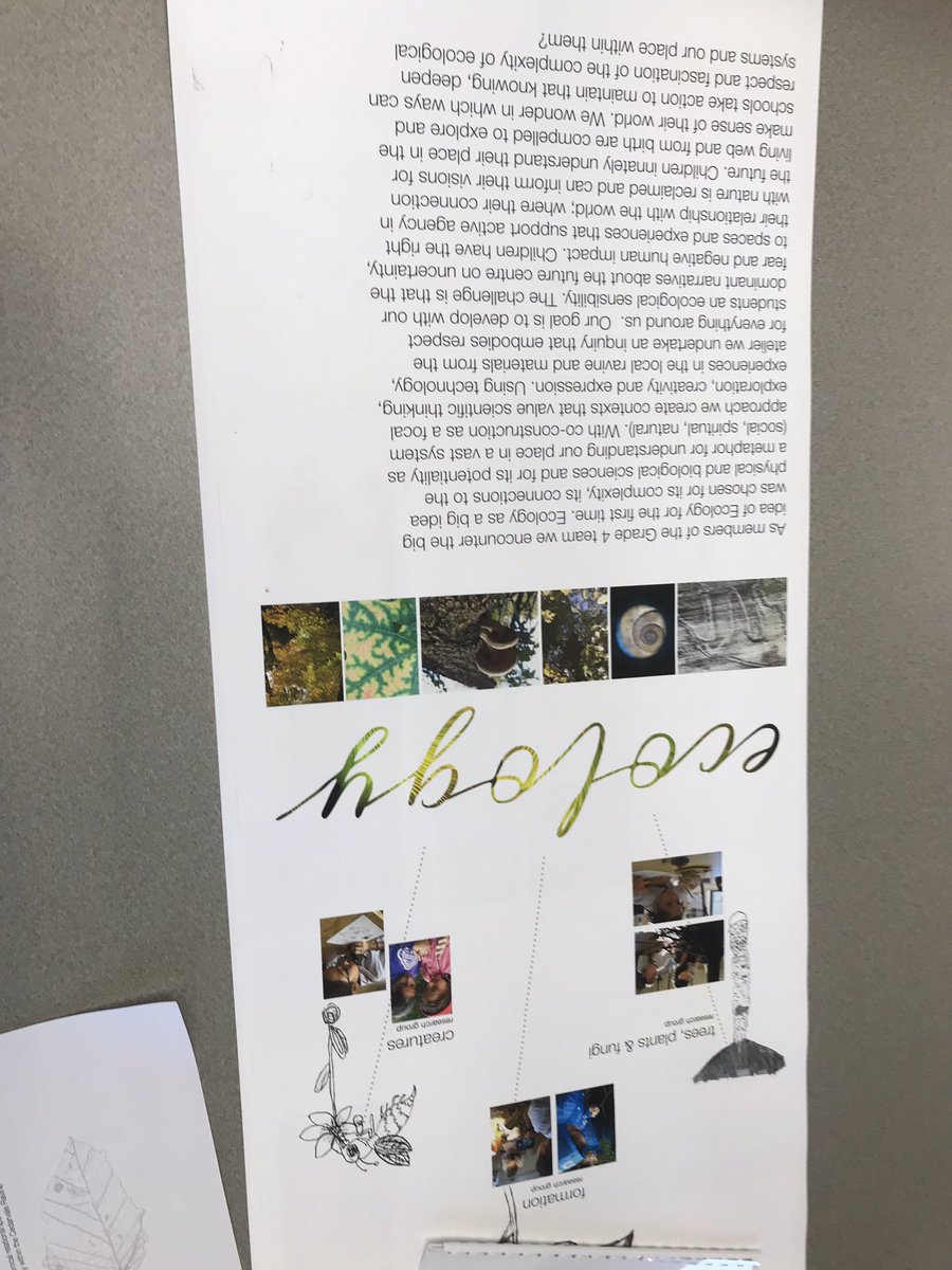 TDSB EcoSchools tweet media