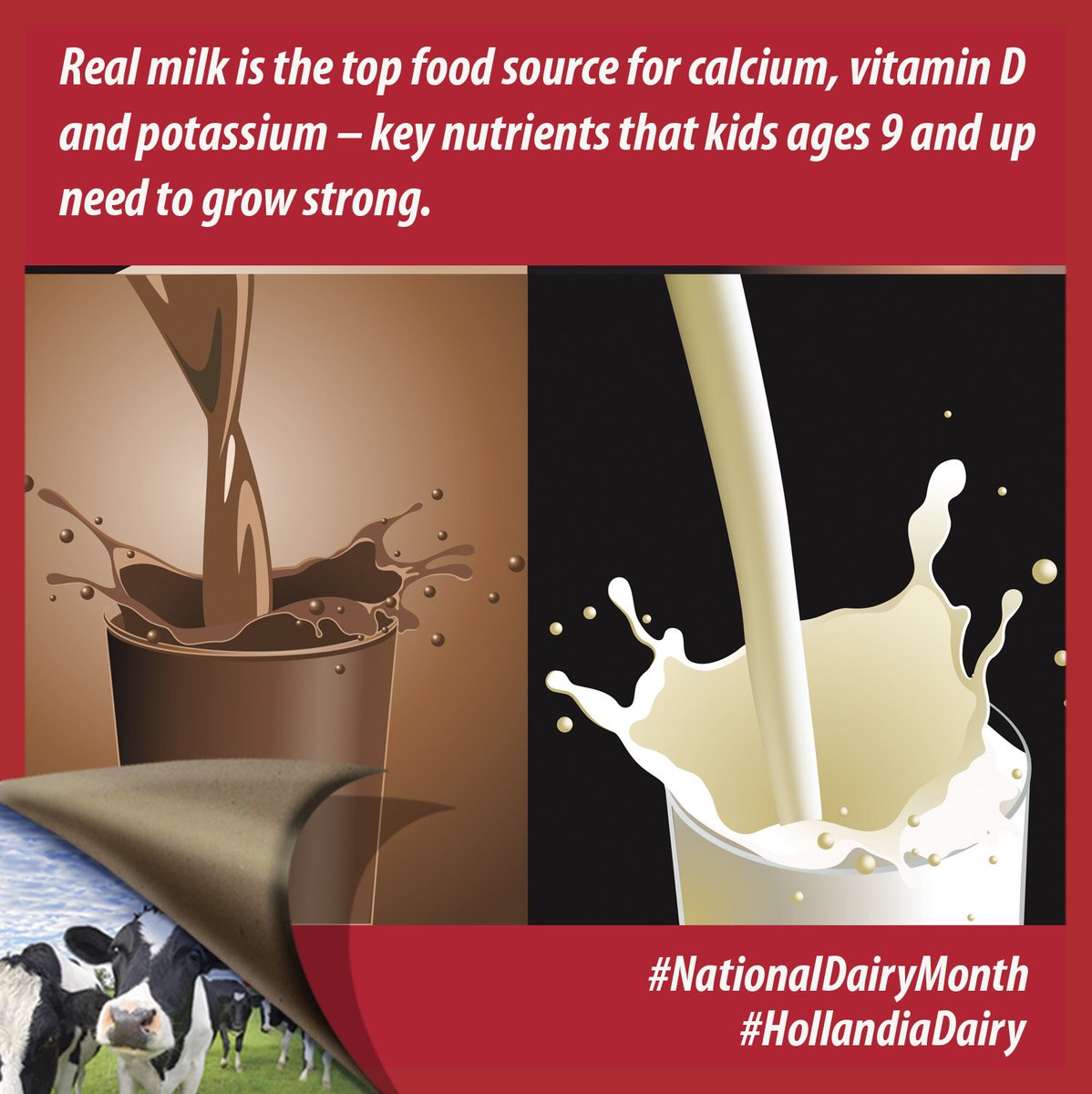 HollandiaDairy's tweet photo. June is National Dairy Month!  Spread the word.  #Milk #Health #Education #Nutrition #EnjoyDairy #sandiego #sandiegocounty #TrulyLocal #dairymilkisthereal #original #keynutrients #protein https://t.co/LT80Ccrski
