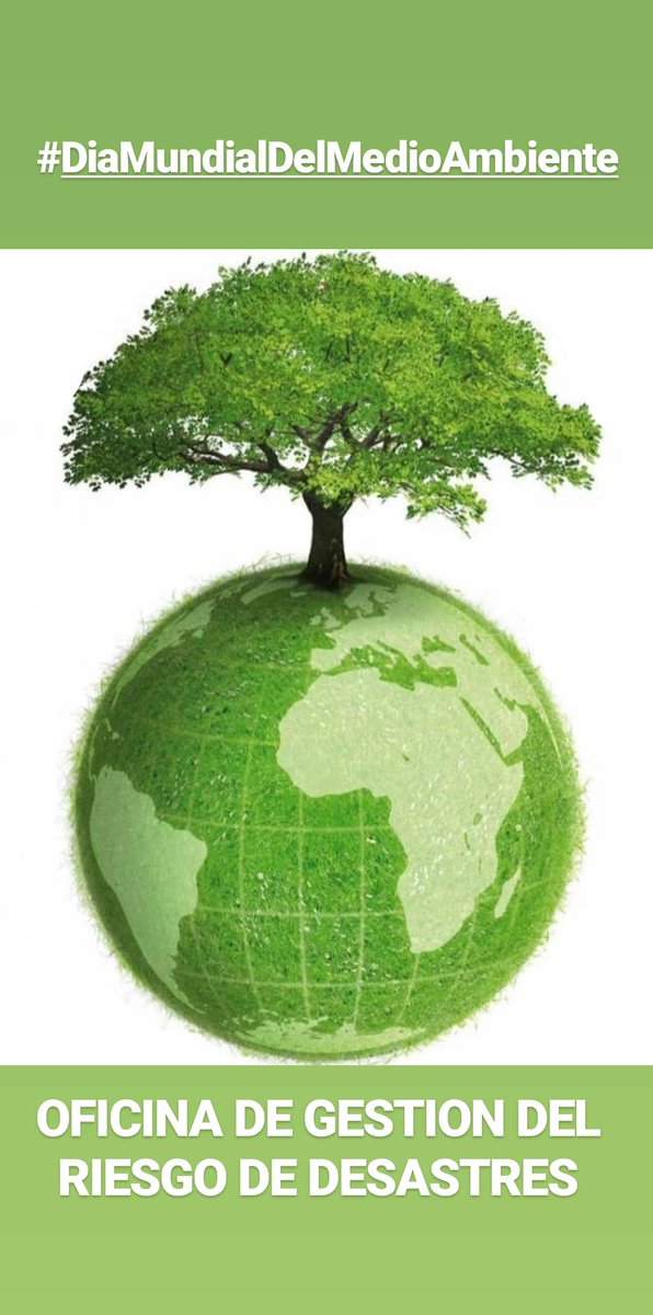 #DíaMundialDelMedioAmbiente