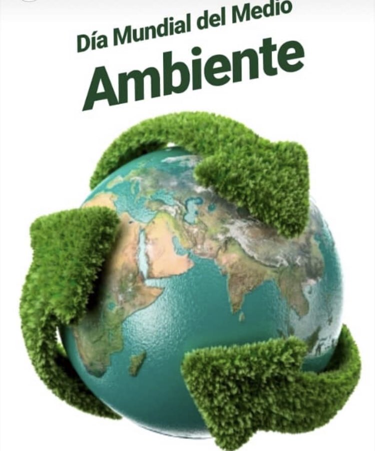 RedAivenUFT's tweet photo. Hoy día mundial del Medio Ambiente aportemos nuestro grano de arena, levantando nuestra voz en favor de los DDHH de educación en ecología y medio ambiente! https://t.co/fSqpvjLgyj