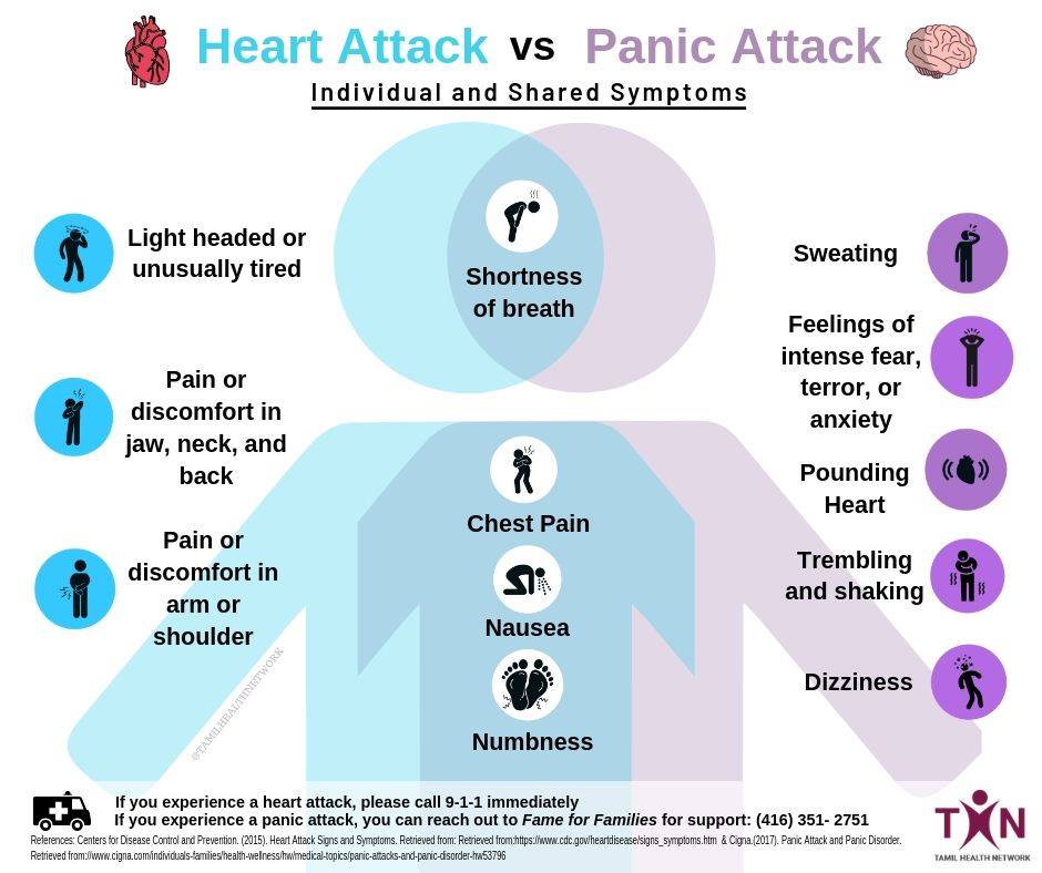 TamilHealthNet's tweet image. Heart attacks and panic attacks exhibit many similar physical symptoms, making it difficult to distinguish which is presenting and what medical attention to seek. This infographic displays some of the distinctive and shared symptoms between the two.