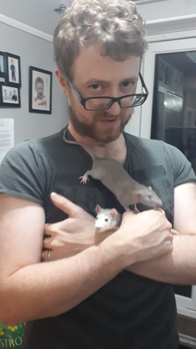 tom_starforge's tweet photo. Time for some #ratcontent! This time double the fun. My furry #smolbois had a play on the table and a cuddle with big monkey dad. How it felt holding both of my rat sons is indescribable. #rats #bondanimal https://t.co/wEFTaHPEPg